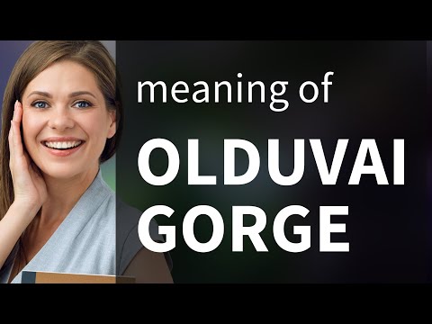 Olduvai gorge — OLDUVAI GORGE meaning