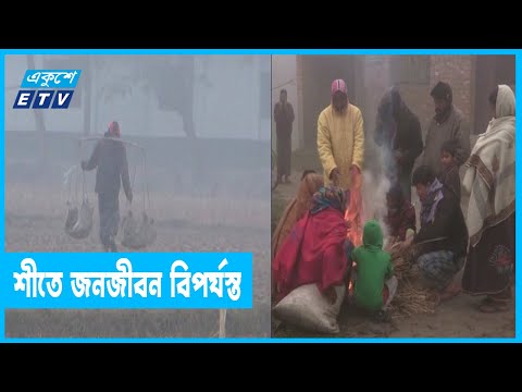 ঘন কুয়াশার বাড়িয়ে দিয়েছে শীতের তীব্রতা