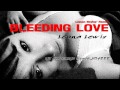 Leona Lewis - Bleeding Love Jason Nevins' Remix ...