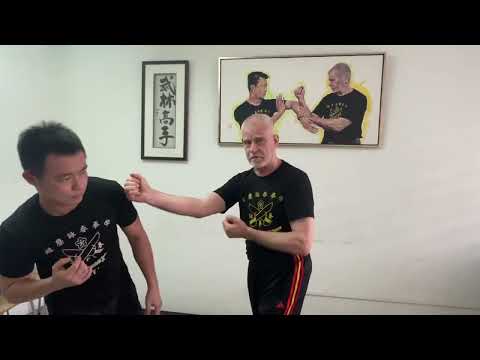 WSL Ving Tsun Kuen Hok - breaking it down #1 - WSLVT in a nutshell: “attack the attack”