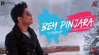 BEY PINJARA (Official Music Video) | Ankit Tiwari