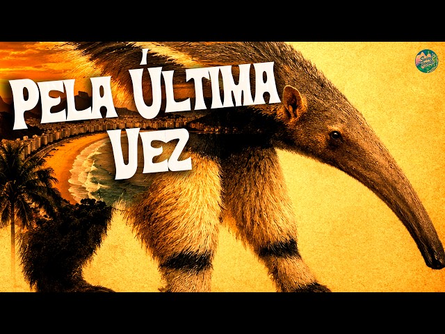 Grupo Menos É Mais, NATTAN – Pela Última Vez (Ao Vivo) || Letra/Lyrics