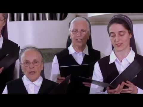 Die Antwortpsalmen – 23. Sonntag im Jahreskreis Lesejahr C