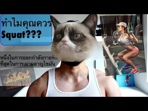 สำหรับสมาชิกเล็ก ๆ ของท่าที่แนะนำ สวมใส่ค้อนของ ธ อร์ทำไม