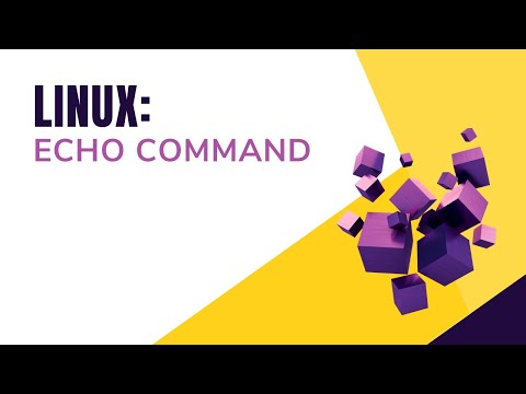 Echo Command Bash Scripting Shell Scripting By Designer Code