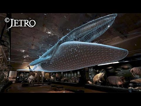 拡張現実-XR のトレンド