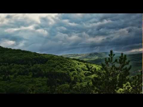 Forest Stream - Whole