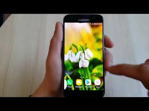 Beautiful Spring Flowers Live  Video