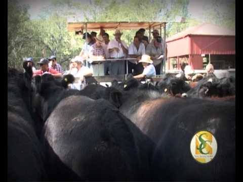 Entre Surcos y Corrales TV