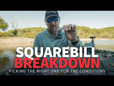 SQUAREBILL Crankbait Breakdown (Water Temps, Clarity & Colors)