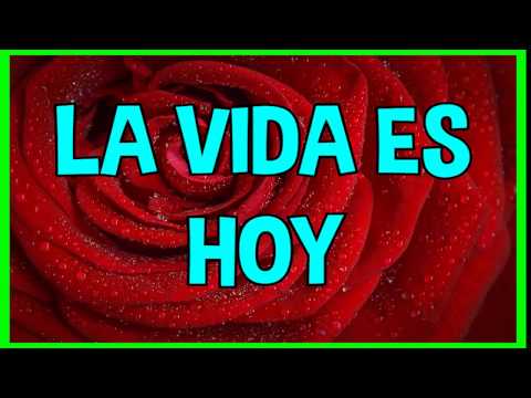 download lagu mp3 mp4 La Vida Es Hoy, download mp3 La Vida Es Hoy free download mp3, download mp3 La Vida Es Hoy