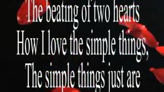 Simple Things by Jim Brickman (Lyric)
