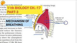 Class 11 Biology|Ch.-17 |Part-3||Mechanism of breathing||Study with Farru