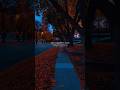 Tere Te Main Waari Jawan Song Jhol Slowed Reverb Lofi Songs Status Status Love Shorts