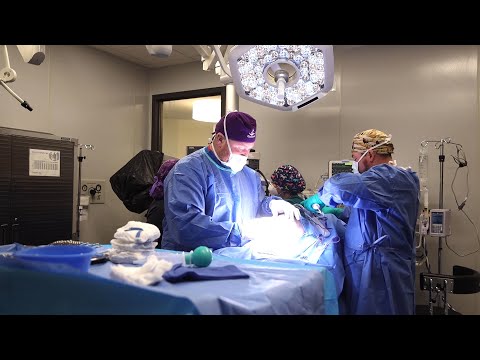 Episode 7: Our Surgery Team Removes a Foreign Body