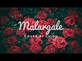 Cover Malargale Malargale Love Birds Chidu S Chamber