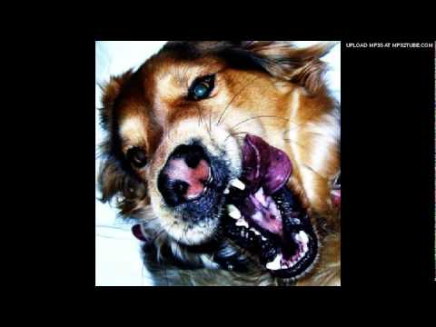 download lagu mp3 mp4 Caroline Please Kill Me, download lagu Caroline Please Kill Me gratis, unduh video klip Caroline Please Kill Me