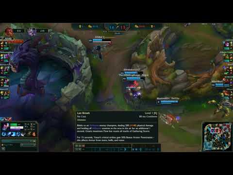 Nidalee and Yasuo, good bot combo, or just lucky?