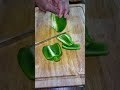The only way to cut bell peppers / capsicum .#zerowaste
