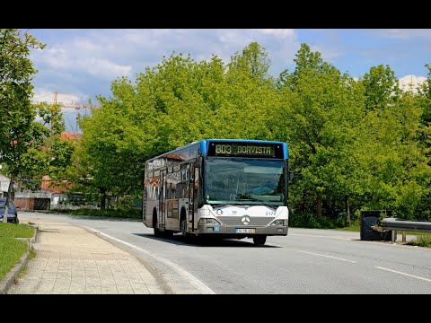 2150 STCP - Mercedes-Benz O530 Salvador Caetano CityGold MB 2K - Linha / Line 803 (parte / part 2)
