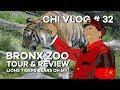 Bronx Zoo Tour And Review