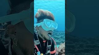 Download lagu Siapa Sangka, Laut Juga Punya Dokter Gigi Sendiri! #shorts mp3 Download lagu Siapa Sangka, Laut Juga Punya Dokter Gigi Sendiri! #shorts mp3