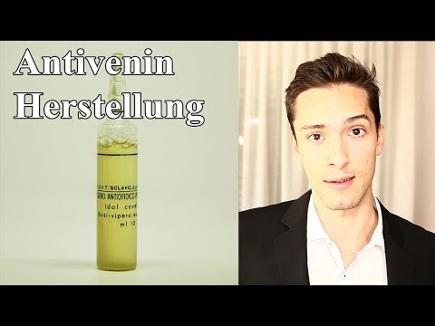 Antiserum gegen Schlangengift: Herstellung und mehr