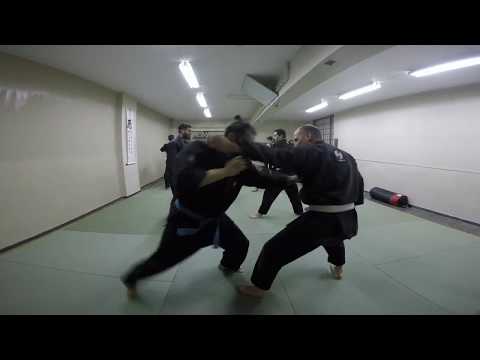 Exploring Suiyoku kata of Kukishinden Ryu