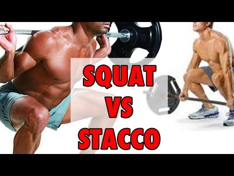 download lagu mp3 mp4 Squat E Stacchi, download lagu Squat E Stacchi gratis, unduh video klip Squat E Stacchi