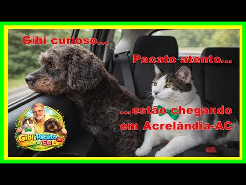 Município de Acrelândia - AC Ep 1