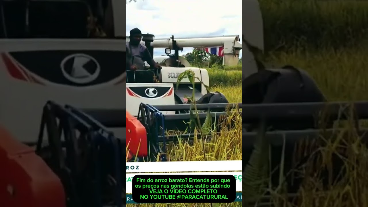 Fim do arroz barato? Entenda por que os preços nas gôndolas estão subindo