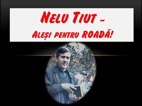 🔊 Nelu Tiut AUDIO - Alesi pentru rodire