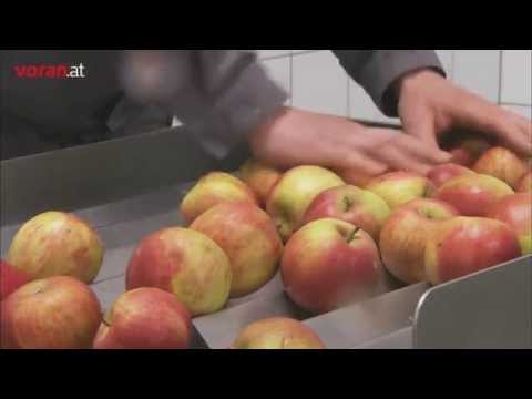 voran elevator SA with centrifugal mill RM2,2