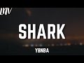 YoungBoy Never Broke Again Shark Lyrics