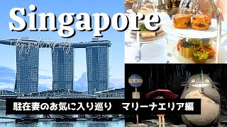 【シンガポールvlog🇸🇬】駐在妻のお気に入りを巡る旅 マリーナエリア編 | TWGアフヌン | ミュージアム | ホーカーセンター