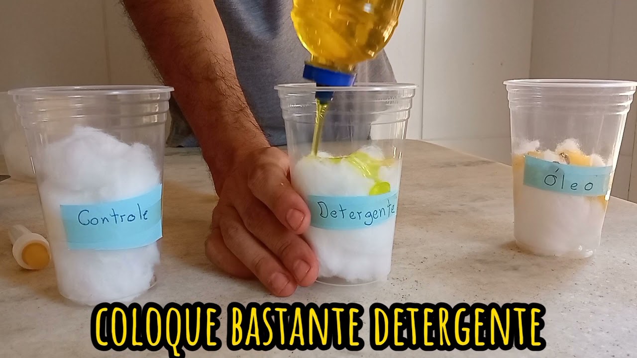 EXPERIMENTO: POLUIÇÃO DO SOLO POR ÓLEO VEGETAL E DETERGENTE