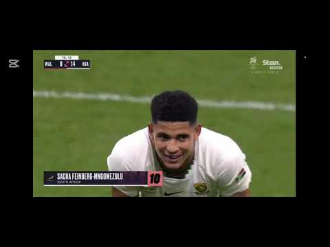 South Africa v Wales 2025 highlights || Extended cut|| DESTRUCTION 73-0 🔥🔥