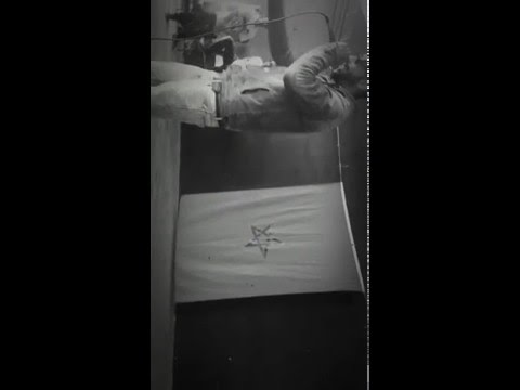 Tigerap has returned