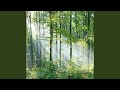 Let's All Chant (Extended Version)