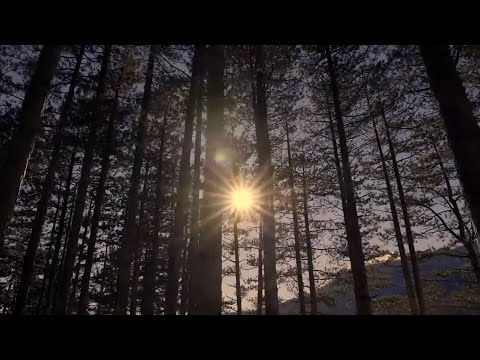 Petrit Çarkaxhiu - RA NI FJOLLË N'SYNIN TEM