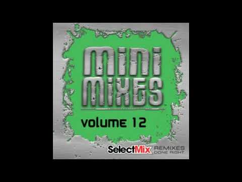 Hot Tracks Dance Mini Mix #3 (Select Mix Mini Mix)