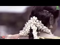 Super Romantic FeelGood Whatsapp Status