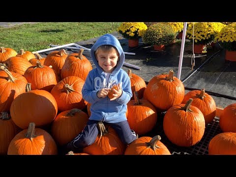 download lagu mp3 mp4 Pumpkin Picking, download lagu Pumpkin Picking gratis, unduh video klip Pumpkin Picking
