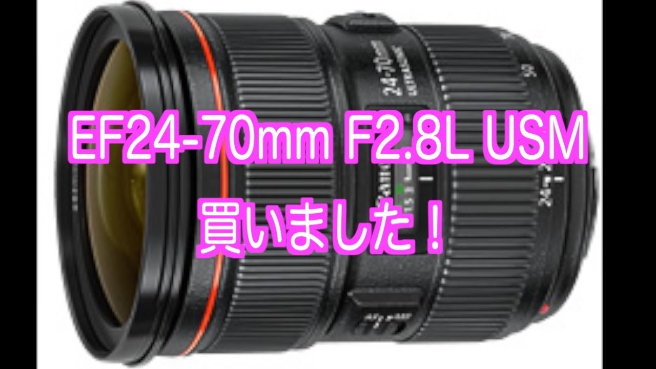 【雑談】今更ですがEF24-70mm F2.8L USMの紹介[#151]