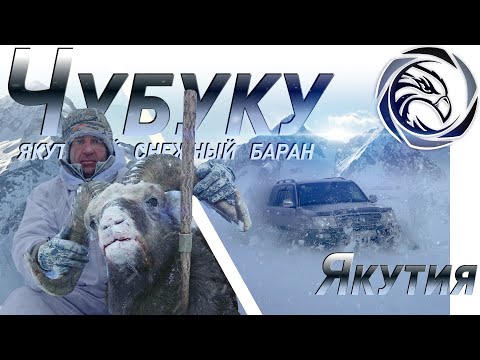 ГОРНАЯ ОХОТА НА ЯКУТСКОГО БАРАНА (2018)