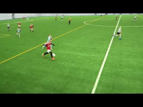 JIPPO-KOMEETAT (tammiturnaus)