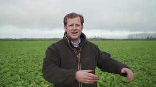 How farmers are regenerating their soil