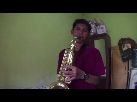 Miley Cyrus - Wrecking Ball (Cover Alto Saxophone)