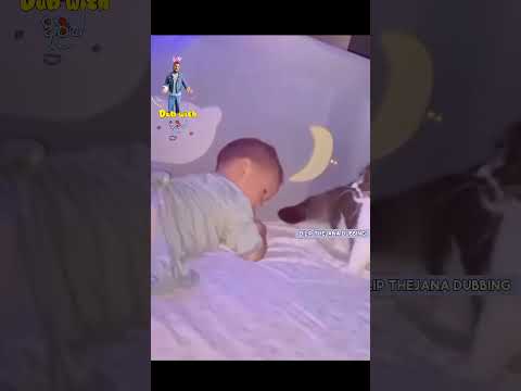 මේ පොඩි ඇච්චොනං මලම වදයක් 😂 dilip thejana cat and baby funny sinhala dubbing දිලිප් තේජන හඬකැවීම