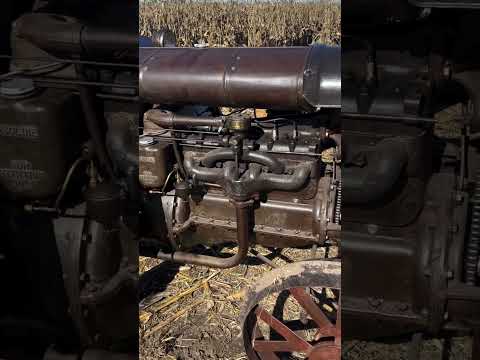 Campo de maíz simulando 1922, máquina a vapor Ruston (England) trilladora  y tractor Fordson F (USA)